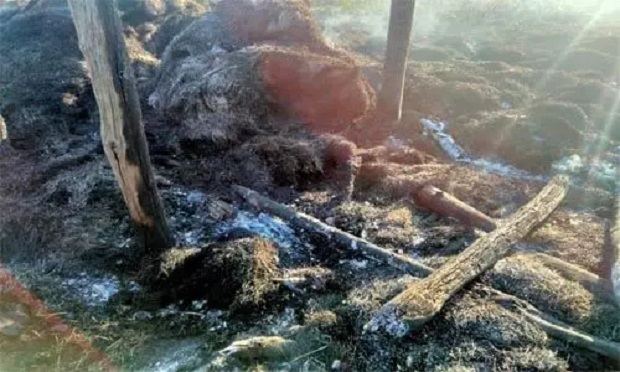 Wife died on the spot due to burns while husband died while going to ...