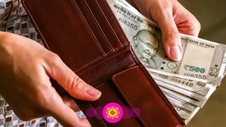 Money Vastu Tips:  पर्स में रखे यह चीजें चुम्बक की तरह खिंचा चला आएगा पैसा, मां लक्ष्मी की बनी रहेगी कृपा, बदल जायेगा नसीब 