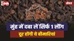 Clove Benefits: रसोई में मौजूद एक लौंग कर देती है बड़े से बड़े रोग ठीक, जानिए घरेलू उपाय 
