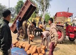 ट्रैक्टर के हाइड्रोलिक चेंबर से 117 किलो गांजा बरामद, पुलिस ने एक आरोपी को किया गिरफ्तार