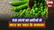 Green Peas Side Effects : सावधान! ऐसे लोगों को सर्दियों में मटर का सेवन जहर के समान!