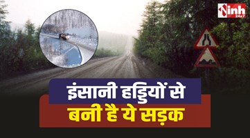 Road Of Bones : इंसानी की हड्डियों से बनी है ये सड़क, जानिए सड़क का इतिहास