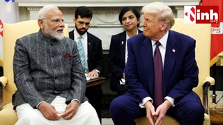 ट्रंप प्रशासन 50% से घटाकर 20% कर सकता है टैरिफ! भारत-अमेरिका ट्रेड डील पर नोमुरा का बड़ा दावा...