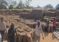 धान समर्थन मूल्य योजना: राइस मिलर्स से उठाव के एग्रीमेंट फाइनल, डीओ जल्द