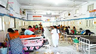 SATNA NEWS : कोदो की रोटी खाने से 7 लोगों की बिगड़ी तबीयत, एक की हालत गंभीर, इलाज जारी 