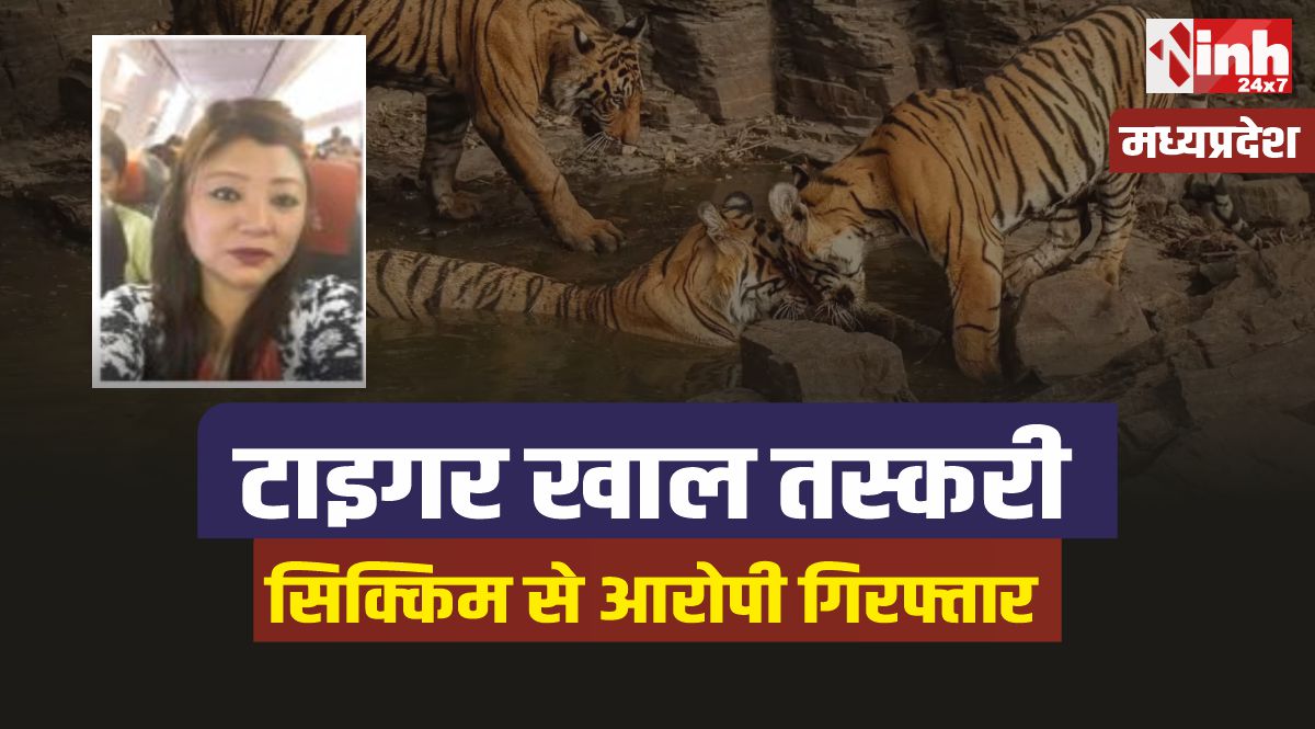 Tiger Task Force : मध्यप्रदेश टाइगर टास्क फोर्स और WCCB की बड़ी कार्रवाई, एक गिरफ्तार