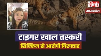 Tiger Task Force : मध्यप्रदेश टाइगर टास्क फोर्स और WCCB की बड़ी कार्रवाई, एक गिरफ्तार