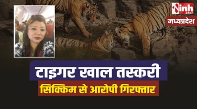 Tiger Task Force : मध्यप्रदेश टाइगर टास्क फोर्स और WCCB की बड़ी कार्रवाई, एक गिरफ्तार