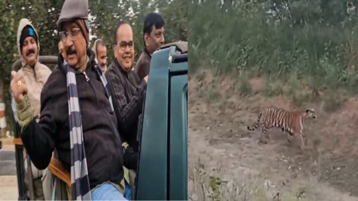 MP NEWS : मोहन के मंत्री मंडल ने उठाया जंगल सफारी का लुत्फ, कहा -  एक बार नही बल्कि दो बार टाइगर मिले