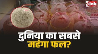Most Expensive Fruit: ये है दुनिया का सबसे महंगा फल? लाखों में होती है कीमत