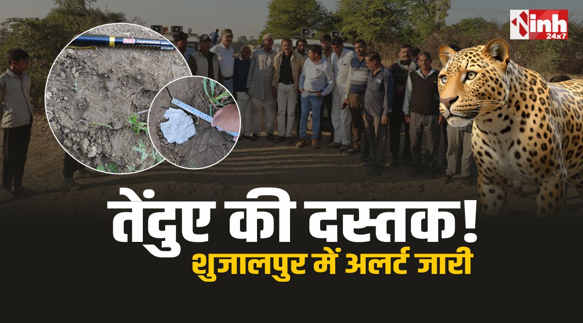 Leopard In Shujalpur : शुजालपुर में तेंदुए की दस्तक! पगमार्क से पुष्टि, अलर्ट जारी