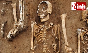 अफ्रीका में मिली 7 लाख साल पुरानी इंसान की हड्डियां: पलटकर रख दी वैज्ञानिकों की थ्योरी...