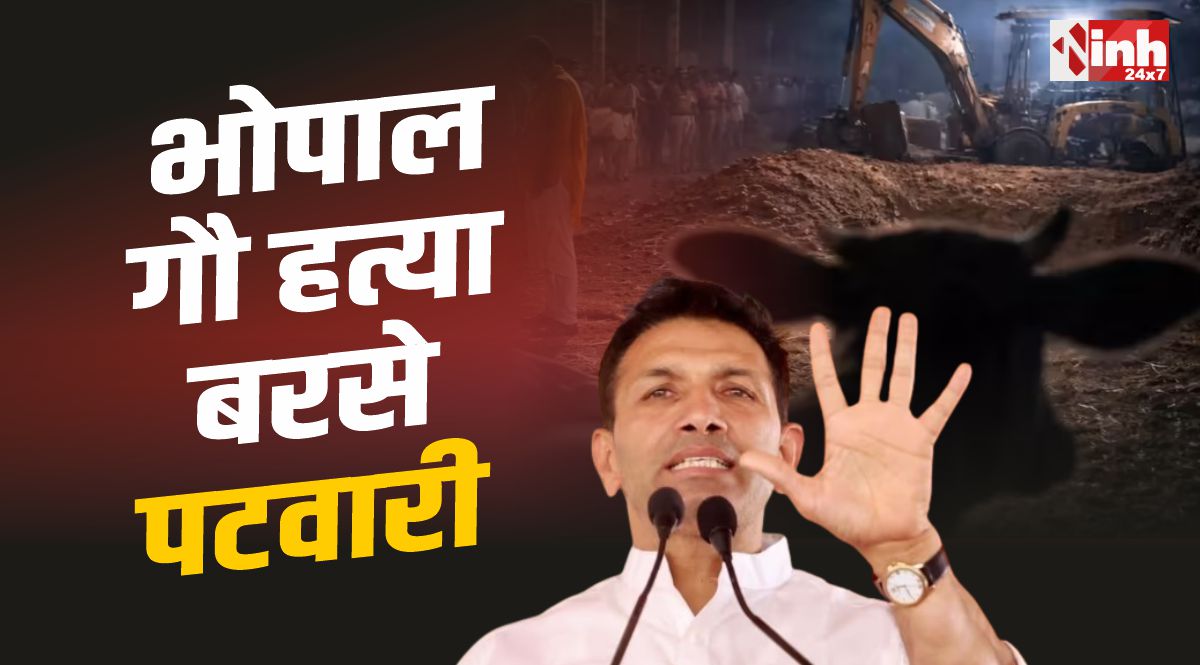 Bhopal Cow Slaughter : भोपाल गौ हत्या को लेकर सरकार पर बरसे जीतू पटवारी, मुद्दा गरमाया 