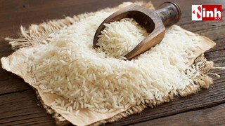 Iran Crisis Impact: ईरान में अशांति से भारतीय बासमती चावल को झटका, दाम 5–7 रुपये प्रति किलो गिरे...