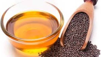 Mustard Oil Benefits: सरसों तेल के है अनगिनत फायदे, बीमारियों को दूर रखने में करता है मदद, त्वचा भी होती है चमकदार 
