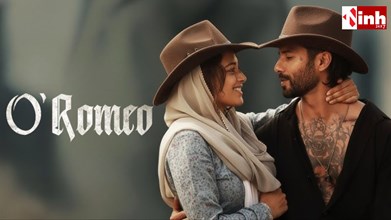 O Romeo Ishq Ka Fever Song: अरिजीत सिंह की आवाज ने छेड़ा इमोशन्स का सैलाब, शाहिद-तृप्ति की केमिस्ट्री पर फैंस फिदा...