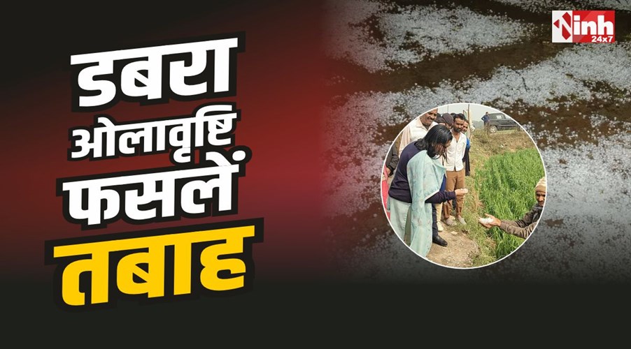 Dabra News : डबरा में ओलावृष्टि से फसलें तबाह, खेतों में पहुंची कलेक्टर चौहान 