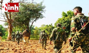 Abujhmarh Encounter: बीजापुर-महाराष्ट्र सीमा पर 3 नक्सली ढेर, AK-47 और SLR बरामद, C60 के 3 जवान घायल...