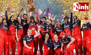 WPL 2026 Final: RCB दूसरी बार चैंपियन, मंधाना-जॉर्जिया की 165 रन साझेदारी से DC को 6 विकेट से हराया...