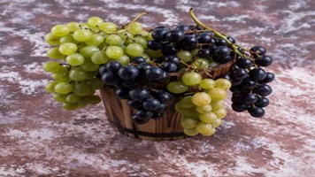 काले और हरे अंगूर में जानें क्या है अंतर, फायदे जान रह जाएंगे हैरान, एक क्लिक में पढ़े पूरी खबर 