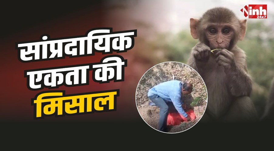 Nepanagar News : सांप्रदायिक एकता की मिसाल, ​क्रिश्चयन ने किया वानर का अंतिम संस्कार