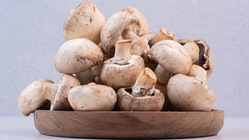 Benefits of Mushrooms  : मशरूम है पोषक तत्वों का खजाना, इम्यूनिटी बढ़ाने के लेकर वजन घटना में करता है मदद, फायदे जान रह जायेंगे हैरान 