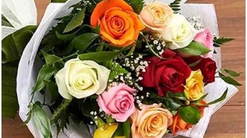 Valentine Week 2026:  गुलाब के अलग अलग रंग के है कई मतलब, भावनाओं का इजहार करने से पहले जान ले रंगों की कहानी 