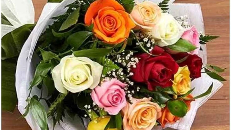 Valentine Week 2026:  गुलाब के अलग अलग रंग के है कई मतलब, भावनाओं का इजहार करने से पहले जान ले रंगों की कहानी 