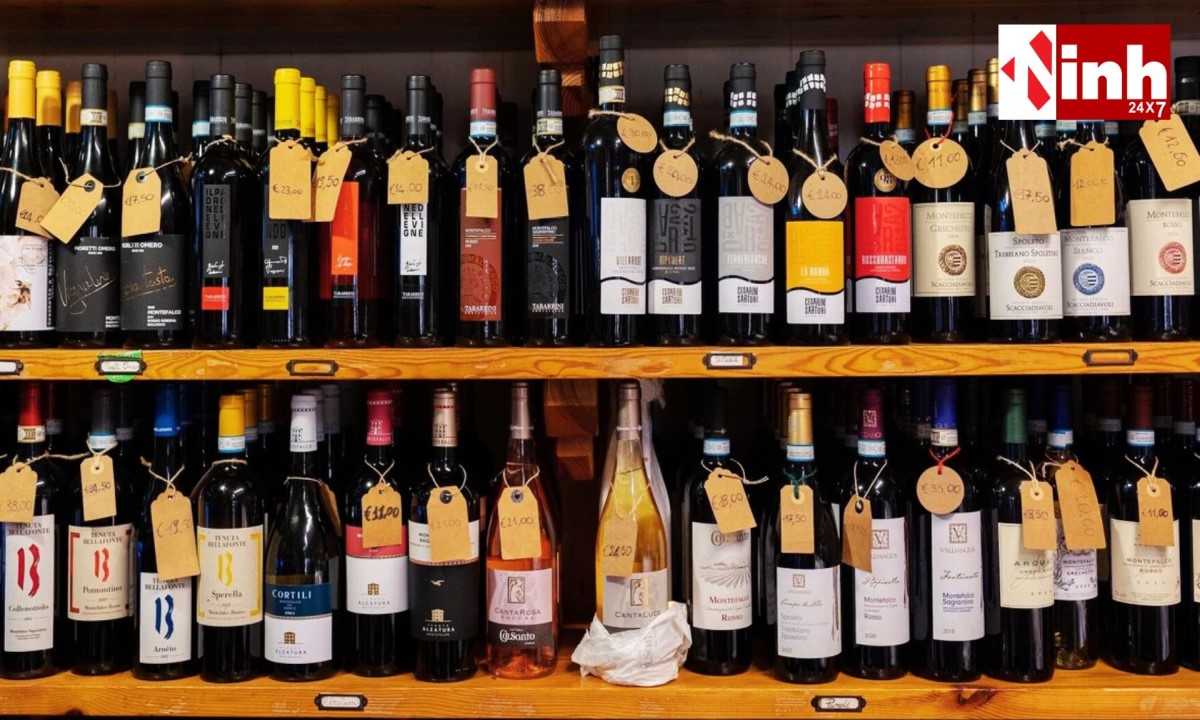 CG Liquor Policy 2026: 1 अप्रैल से फूड-ग्रेड फाइबर बोतलों में मिलेगी शराब, 35 नई दुकानों को मंजूरी...