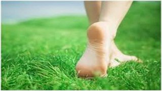 Health Tips: घास पर नंगे पैर चलने से बीमरियां रहती है दूर, शरीर को होते है अनेक फायदे