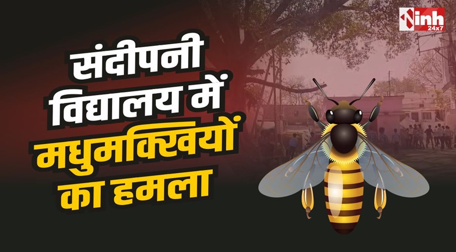 Nemawar Bees Attack : नेमावर संदीपनी विद्यालय में मधुमक्खियों का हमला, छात्र-शिक्षक जख्मी 