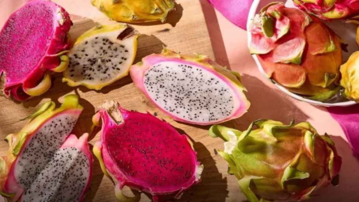  Dragon Fruit benefits:  चटख रंग, अनोखी बनावट वाले ड्रैगन फ्रूट क्यों है लोगों की पसंद ?  जानें इसके फायदे 