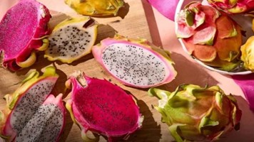  Dragon Fruit benefits:  चटख रंग, अनोखी बनावट वाले ड्रैगन फ्रूट क्यों है लोगों की पसंद ?  जानें इसके फायदे 