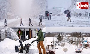 अमेरिका में बर्फीले तूफान का प्रकोप: 10 हजार उड़ानें रद्द, 5.7 लाख घरों की बिजली गुल, कई राज्यों में इमरजेंसी...