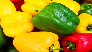 Shimla Mirch Ke Fayde :  हरी, लाल और पीले रंग की शिमला मिर्च में जानें क्या होता है अंतर, कौनसी है ज्यादा फायदेमंद?