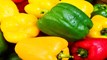 Shimla Mirch Ke Fayde :  हरी, लाल और पीले रंग की शिमला मिर्च में जानें क्या होता है अंतर, कौनसी है ज्यादा फायदेमंद?