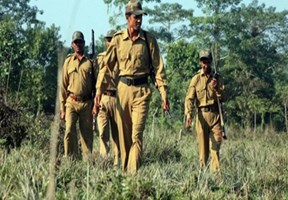 MP Forest Guard Vacancy 2026: 728 पदों पर भर्ती, 28 फरवरी से शुरू होंगे ऑनलाइन आवेदन