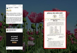 अफीम की खेती पर सियासी बवाल: कांग्रेस ने गठित की 10 सदस्यीय टीम, भाजपा कार्यालयों के घेराव का ऐलान