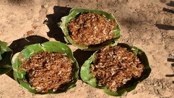 ‘लाल चींटी की चटनी से बढ़ाए इम्युनिटी, ऐसी होती है तैयार, पर्यटकों की है पहली पसंद 