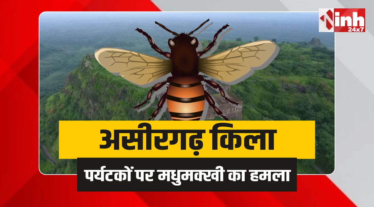 Asirgarh Fort : असीरगढ़ किला घूमने गए पर्यटकों पर मधुमक्खी का हमला, 10 लोग शिकार