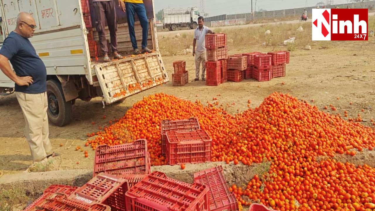 भाटापारा में टमाटर के दाम गिरे: नाराज किसान ने सब्जी मंडी के बाहर फेंकी पूरी उपज...