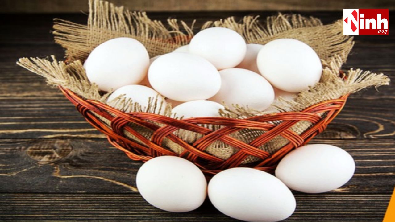 CG News: युद्ध का असर अंडों के बाजार पर, कुवैत निर्यात बंद होने से कीमतों में गिरावट...