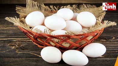 CG News: युद्ध का असर अंडों के बाजार पर, कुवैत निर्यात बंद होने से कीमतों में गिरावट...