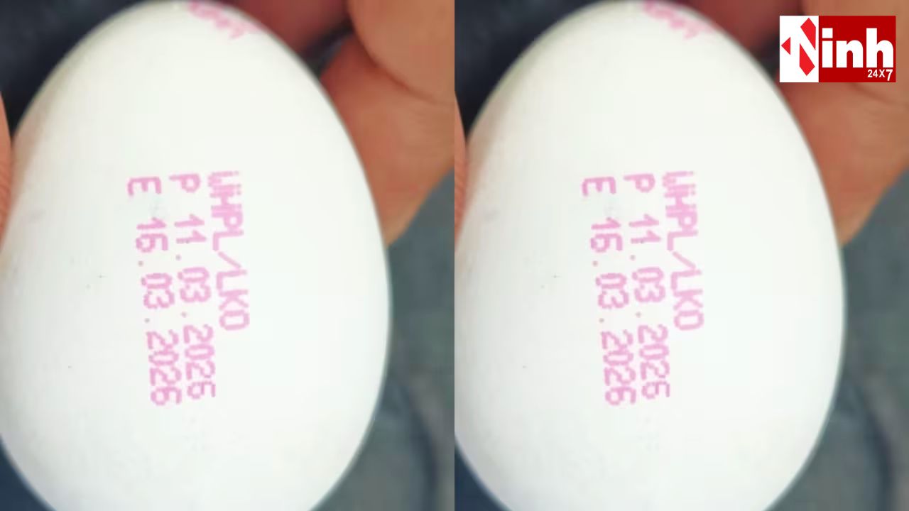 UP में नया नियम: अब हर अंडे पर होगी एक्सपायरी डेट, पुराने बेचने वालों पर सख्त कार्रवाई...