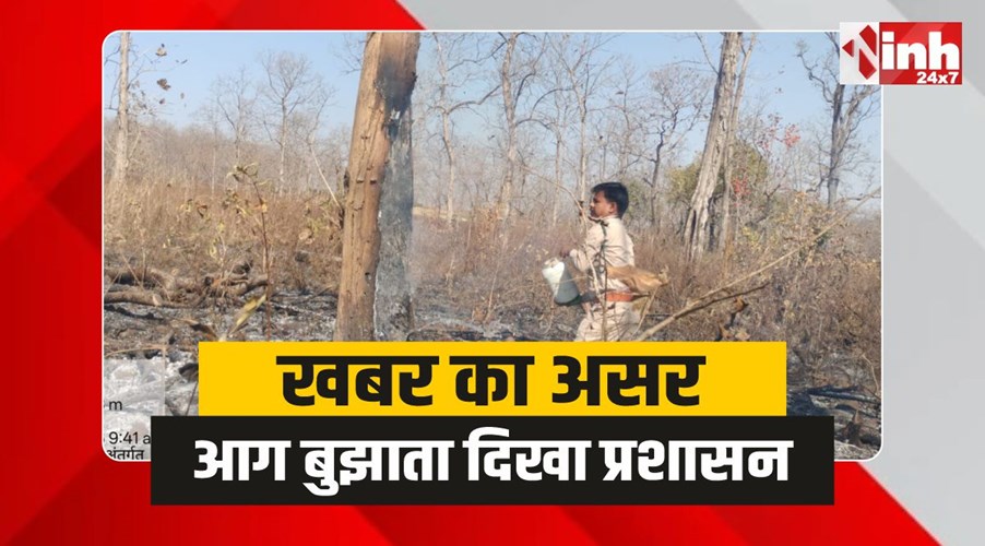 Bheirunda Breaking : खबर का असर, जंगलों में सुलगती आग को बुझाता दिखा प्रशासन