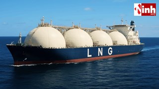 सरकार का दावा: देश में ईंधन की कोई कमी नहीं, पैनिक बाइंग से बचने की अपील, जमाखोरों पर सख्त कार्रवाई जारी...