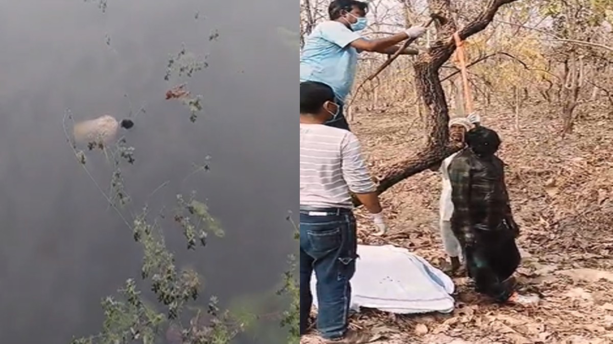 MANDALA NEWS : बड़ी खबर ! मंडला के दो अलग अलग जगहे पर 2 युवकों के मिले शव, मचा हड़कप, जांच में जुटी पुलिस 