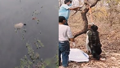 MANDALA NEWS : बड़ी खबर ! मंडला के दो अलग अलग जगहे पर 2 युवकों के मिले शव, मचा हड़कप, जांच में जुटी पुलिस 