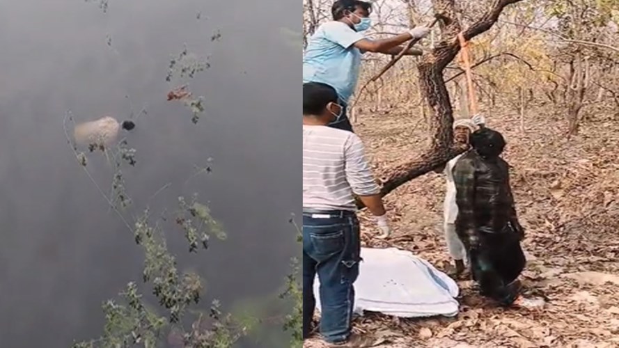 MANDALA NEWS : बड़ी खबर ! मंडला के दो अलग अलग जगहे पर 2 युवकों के मिले शव, मचा हड़कप, जांच में जुटी पुलिस 