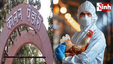 Bird Flu Alert: बिलासपुर में चिकन-अंडा दुकानों पर पूर्ण रोक, प्रशासन सख्त-कानन पेंडारी जू भी 7 दिन बंद...